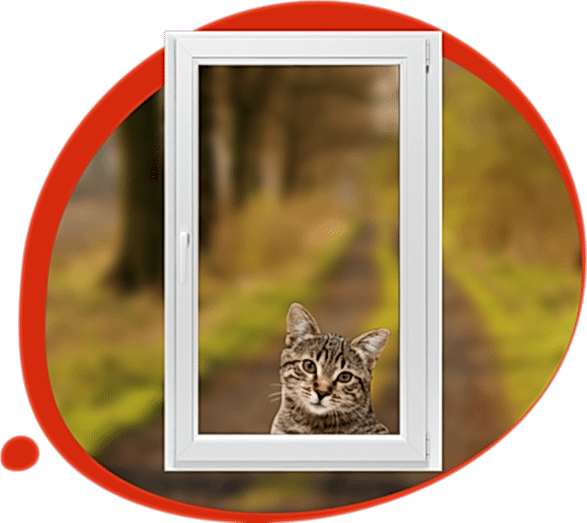 Softens the Air, Eliminates Risks